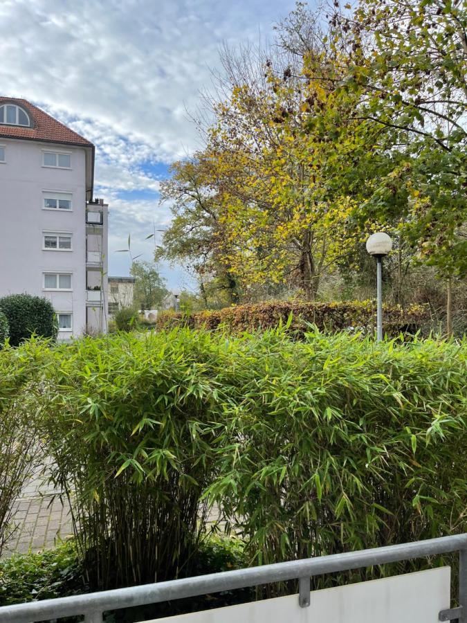 Apartment Rot-Kreuz Bad Säckingen Exteriör bild